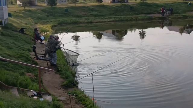 1000086258.mp4