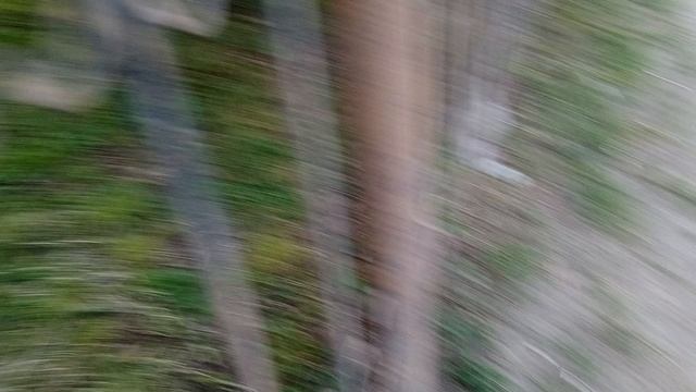 1000007776.mp4