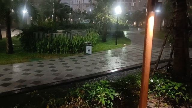 Плюсы и минусы сезона дождей во Вьетнаме.