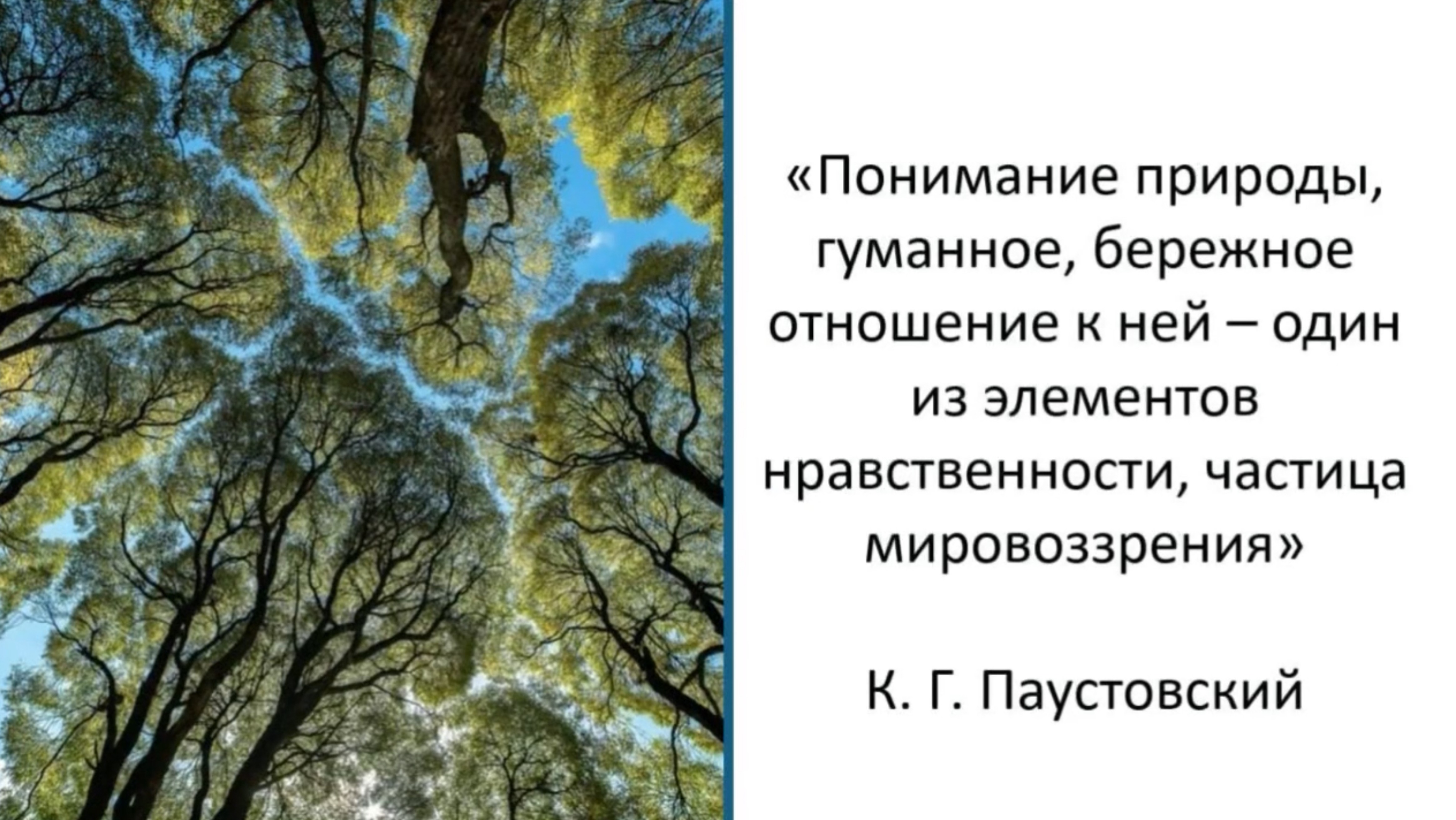 Родительское собрание «Эко-семья». Роль семьи в экологическом воспитании младших школьников.