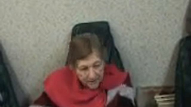 Лечение собак и кошек