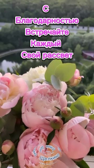 Доброе утро. Чудесного дня. ВидеоОткрытка