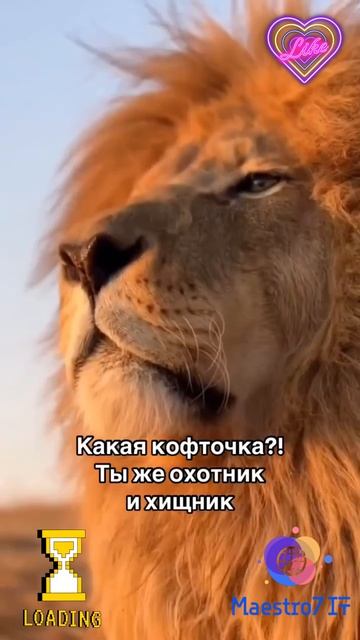 💻 Привет потомок, чем занимаешься (кот и кошка)