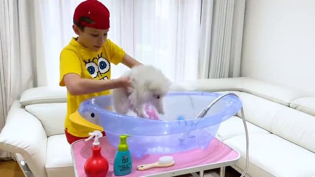 Мисс Кэйти и Мистер Макс - Катя и Макс их питомцы