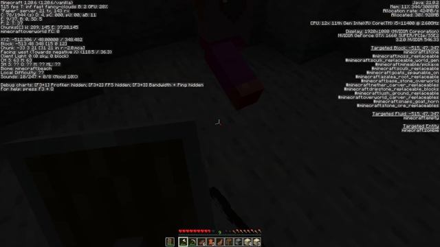 Я поиграл в новейшую версию Minecraft(1.20.6) вместе с @Zekvel! (Ве