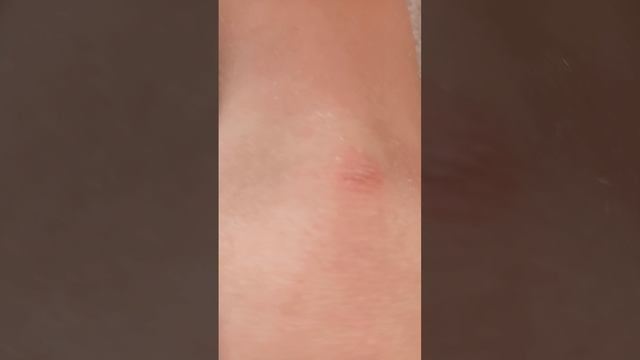 шестая часть как мы прячемся на втором этаже это мам