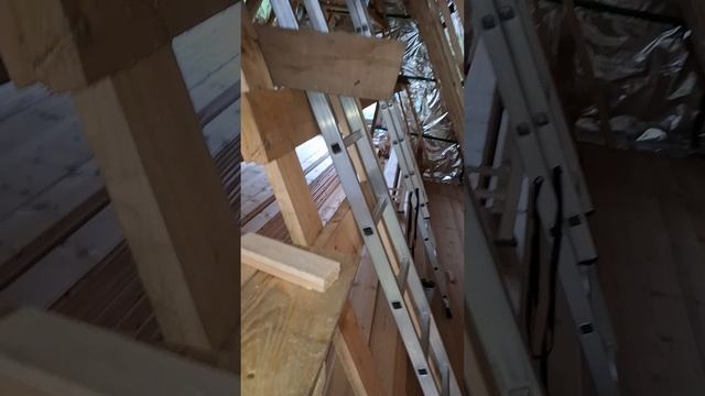 1000025743.mp4 (Собака наблюдает за созданием плоскости каркаса для крепления эмитации бруса)