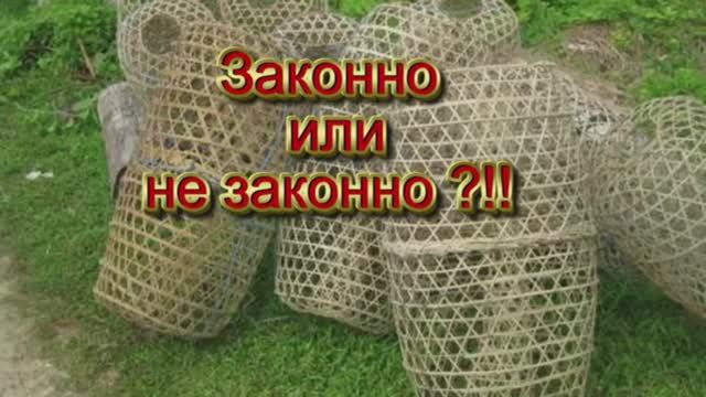 Можно ли ловить вершами,мордами,заколами?!