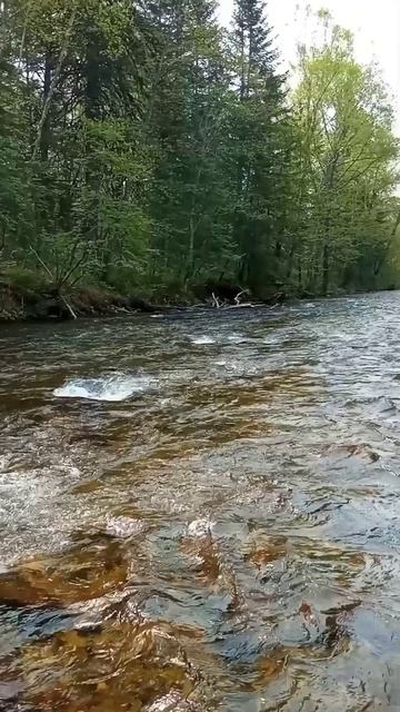1000013642.mp4