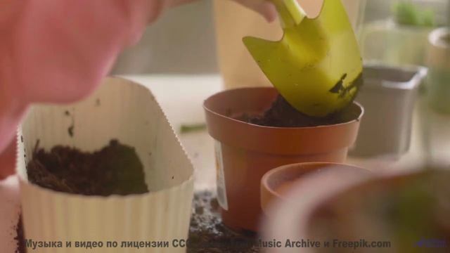 Музыка открывает мир заново на фоне этих красот - Derived -- Ketsa -- Dimensions