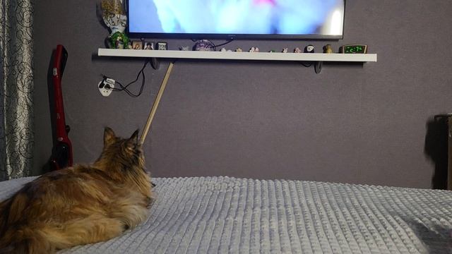 Лежим с Софой /размышляем 😆