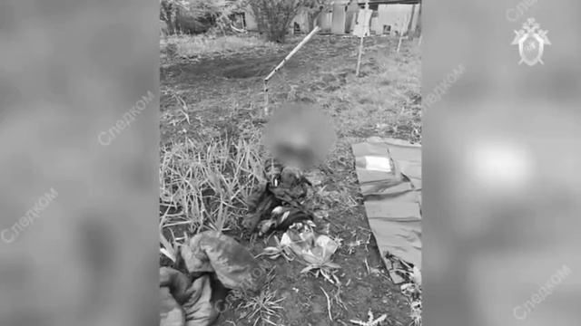 Все жители курского села погибли в результате оккупации ВСУ