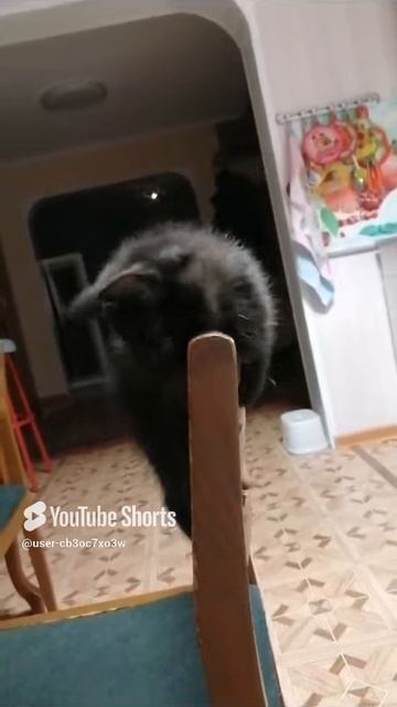 1000065435.mp4