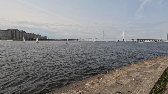 «Яхтинг по Финскому заливу: красота питерского лета»