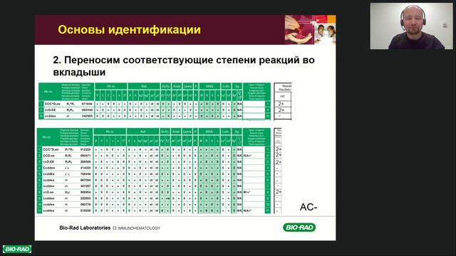 Домашин А.И. Идентификация антител. Базовый курс
#идентификацияантител