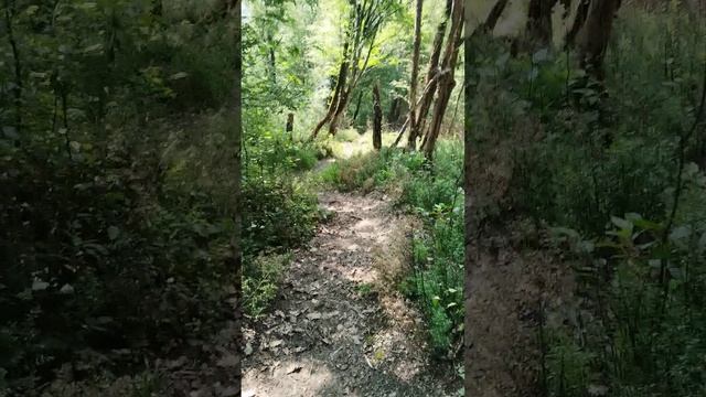 VID_20250607_082459.mp4