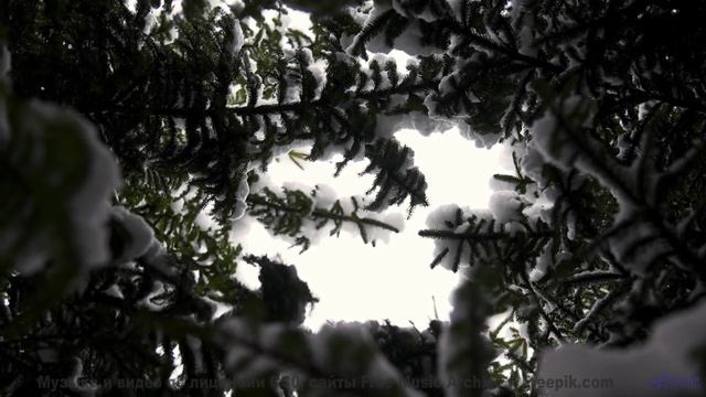 Это видео ПЕРЕВЕРНЁТ твой мир! - We may be remembered by what we did when we sat down -- Youth Pictu