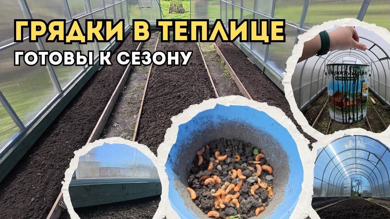 Оформление ГРЯДОК в ТЕПЛИЦЕ  Обработка БРУСА #грядки