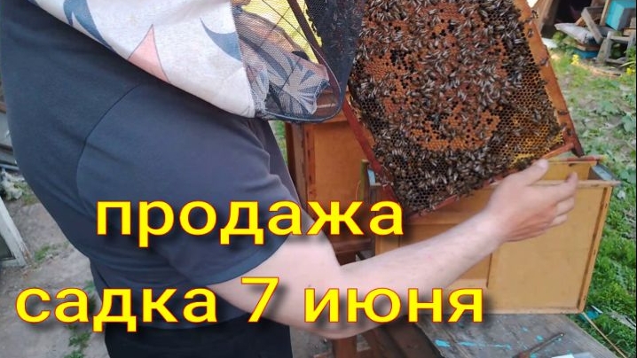 продажа садка на высадку