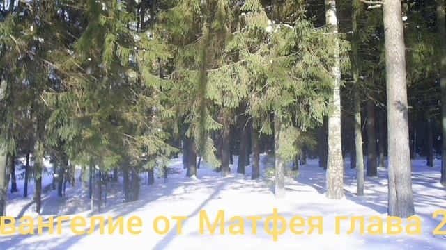 Библия Евангелие от Матфея глава 24