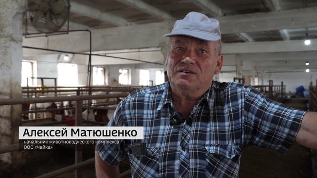 "Живая деревня" (07.06.25)