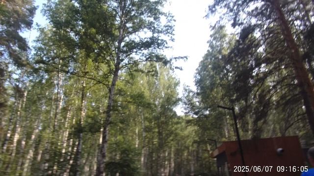 5 верст Экопарк 7 июня 2025