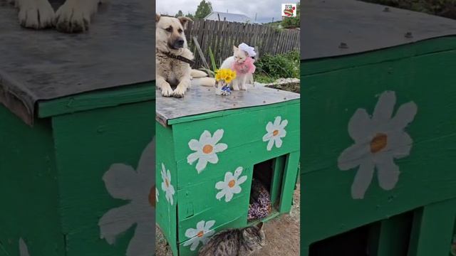 Настюня от души поблагодарила свою Большую Подружку Ирину за красивый косметический ремонт 🌞💐❤️😻