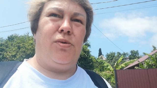 Снова вся в делах