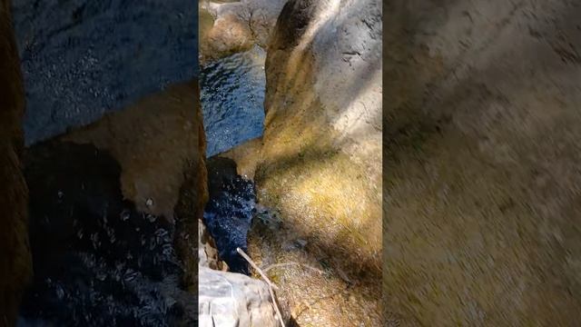 1000083951.mp4