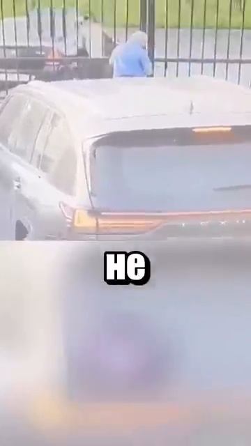 i11ushenka (1695)
