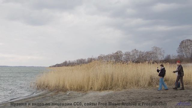 Клип, созданный искусственным сверхразумом - искусство будущего! - Resurrection -- Evan Schaeffer --