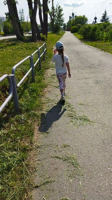 Дорога