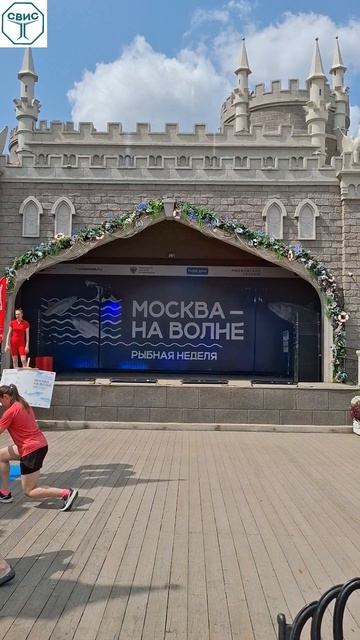 Живот вываливается? Подвздошно-поясничная мышца в спазме.