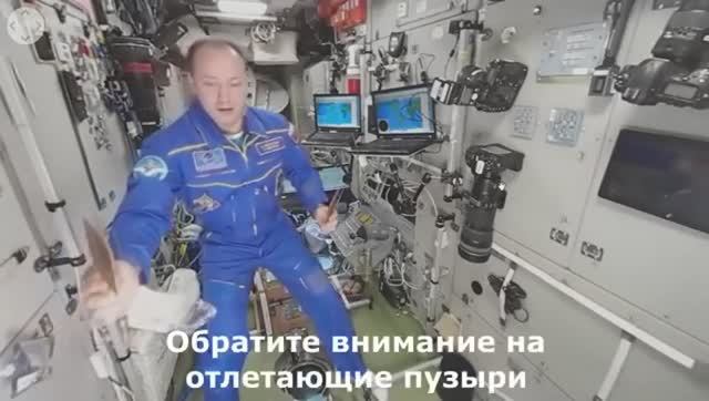 КЛОУНАФТЫ