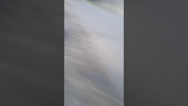 VID_20250607_181244.mp4