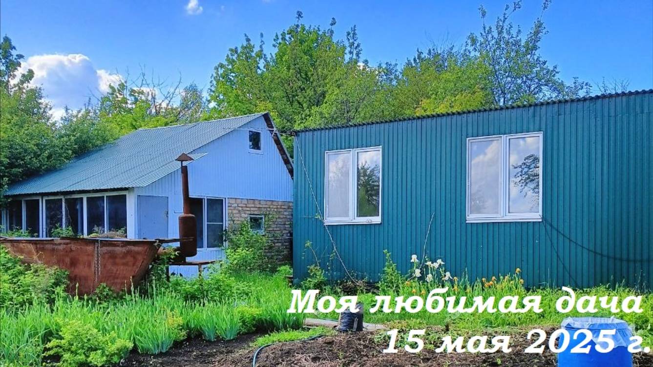 15.05.2025 _ Моя любимая дача