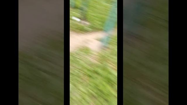 1000003782.mp4