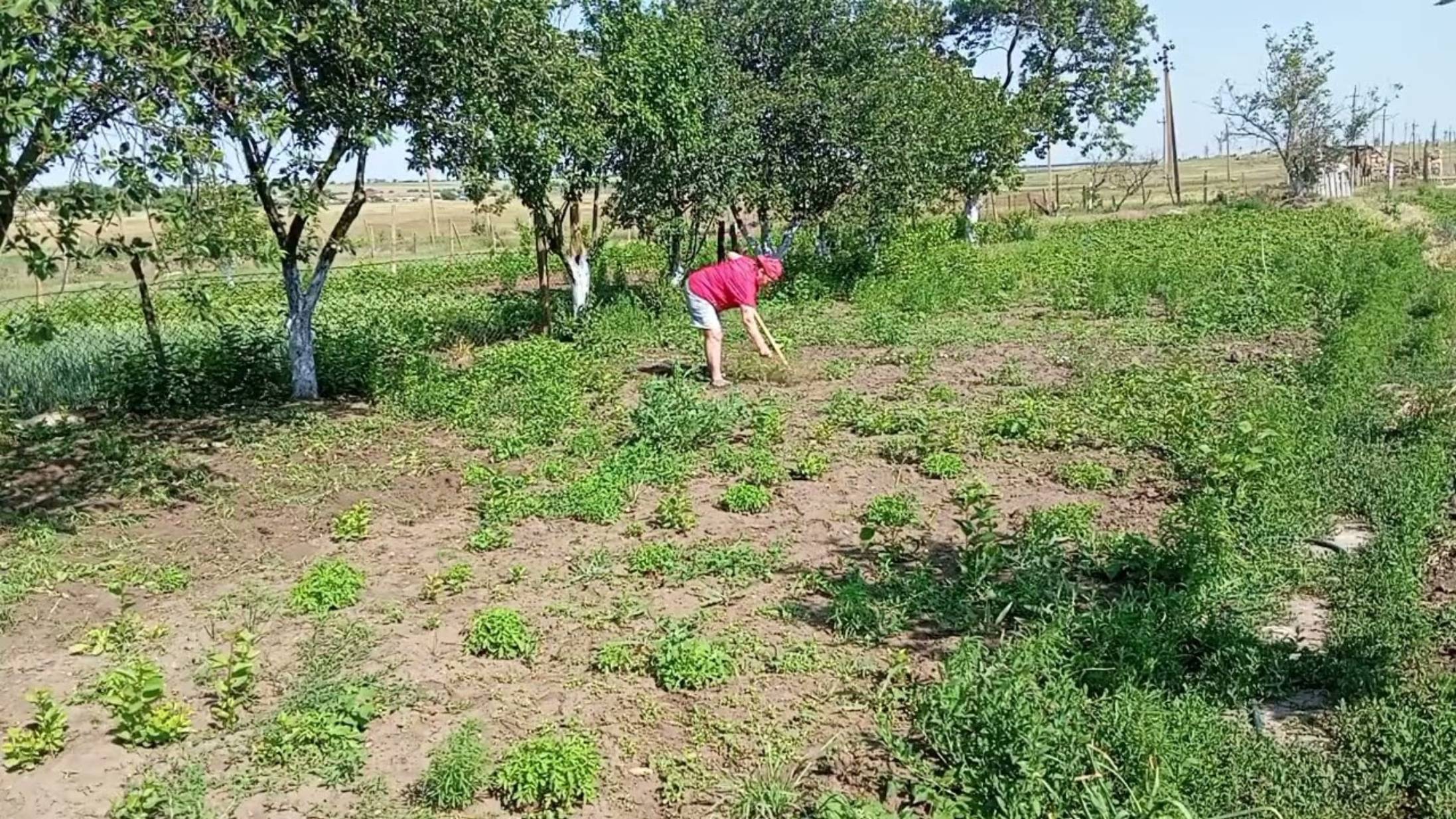 Три Поколения. РАБОТА НЕ КОНЧАЕТСЯ