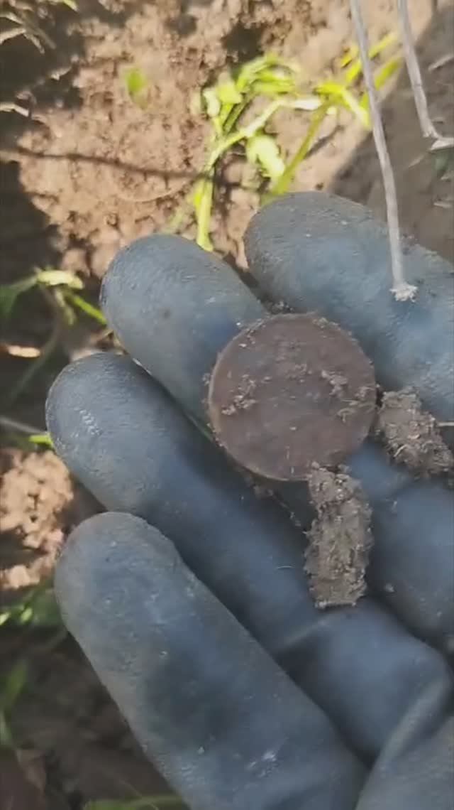 Нашёл небитый хутор и нарвался на находки!