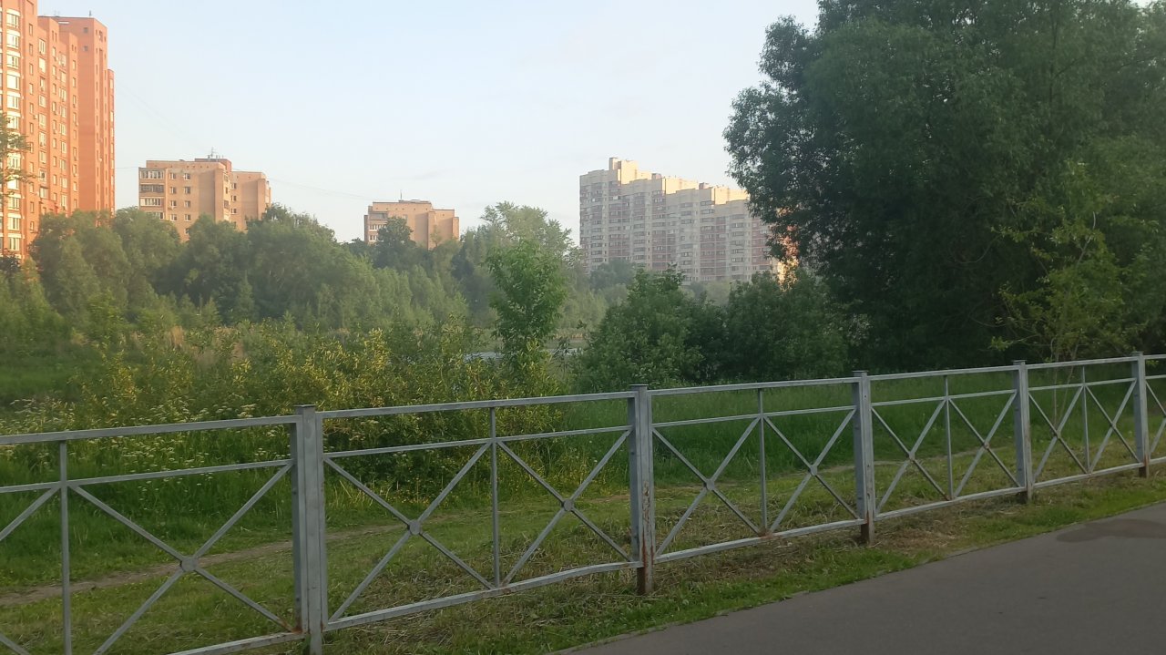 как проходит моё утро﹥﹤ #влог #лайфстайл #хобби