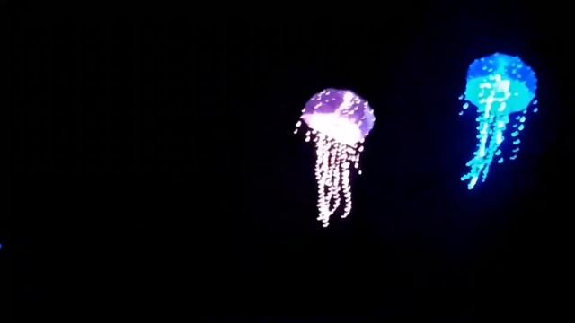 JELLYFISH, tour in Moldova 2020