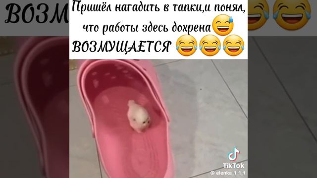 8292ff04cb73e1975306cb61aaead86a