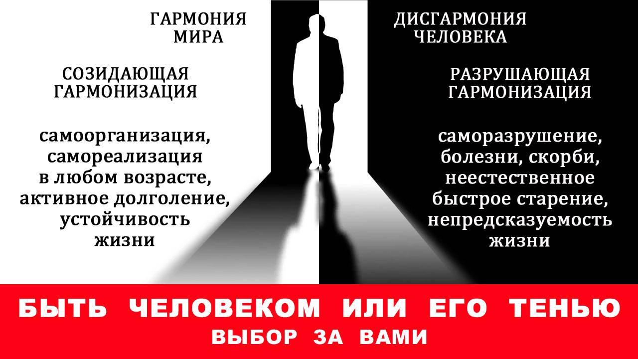 VHV
