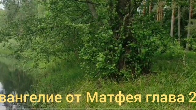 Библия Евангелие от Матфея глава 21