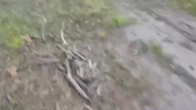 🔴Перехват «FPV-дрона» хохлов с помощью ножниц🙂🔴