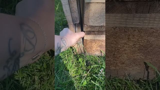 749279383551.mp4