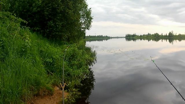 Рыбалка с двуя ночевками на Луге.
