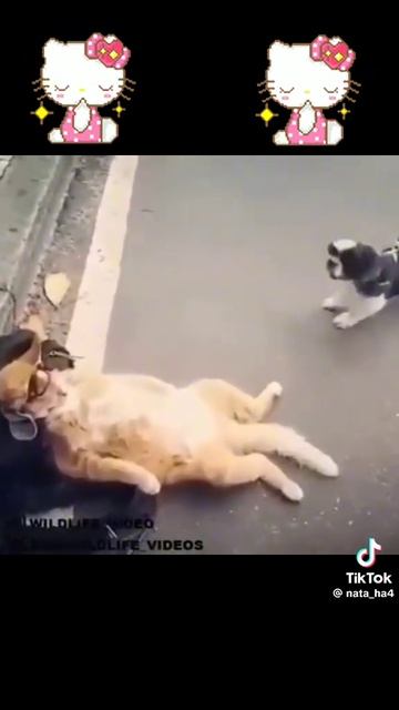 1000102223.mp4