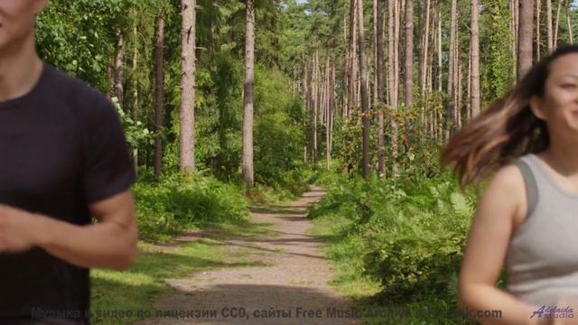 Песня года на фоне красоты Земли - Raccoon Family Robinson -- Podington Bear -- Haplessly Happy (Box