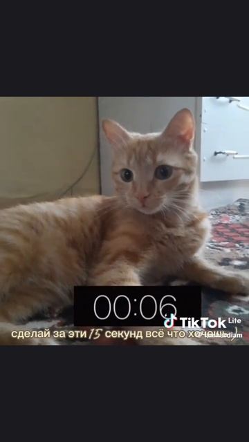 scene_output.mp4